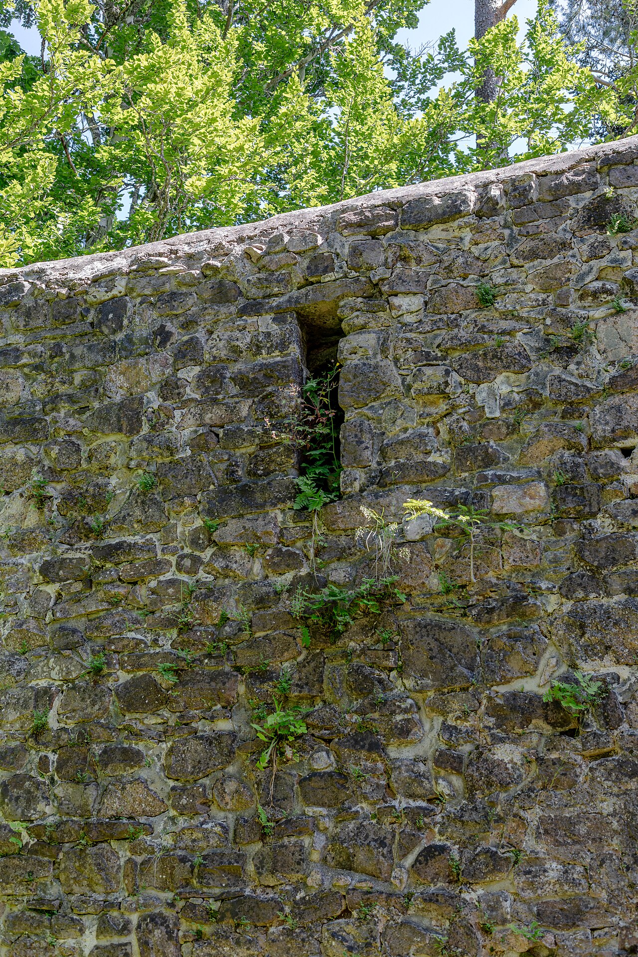 The ruins of a medieval castle