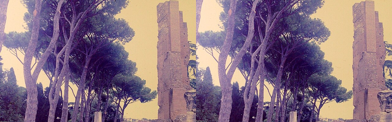 The ruins of the Roman Forum in Rome