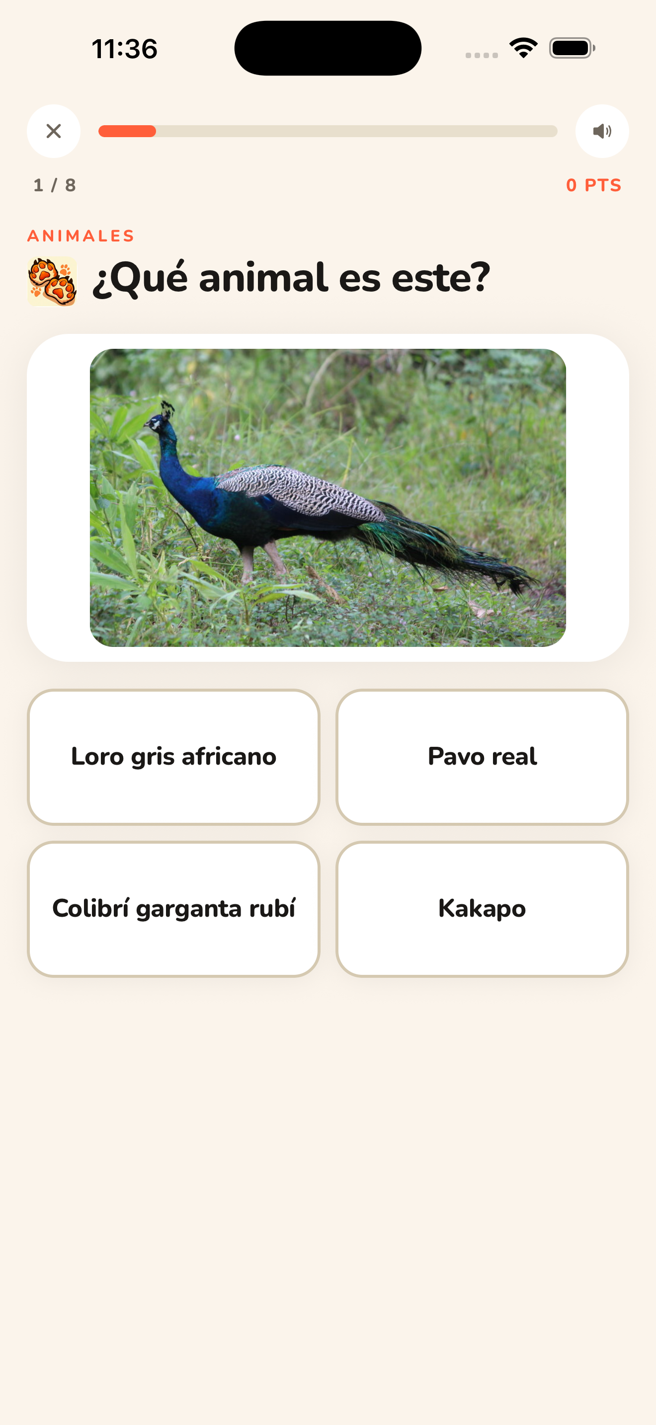 Quiz Animales SAPIRO